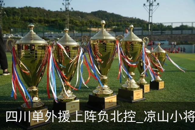 四川单外援上阵负北控 凉山小将骆金州再登场